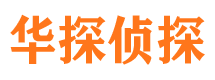 平原侦探公司